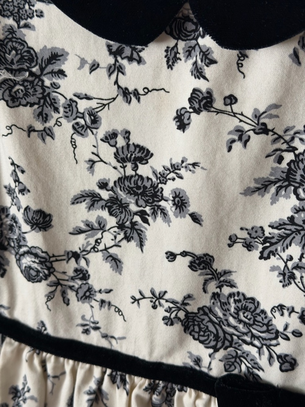Janie and Jack Girls Cream and sugar Floral  toile Dress Black velvet Trim - Picture 5 of 11